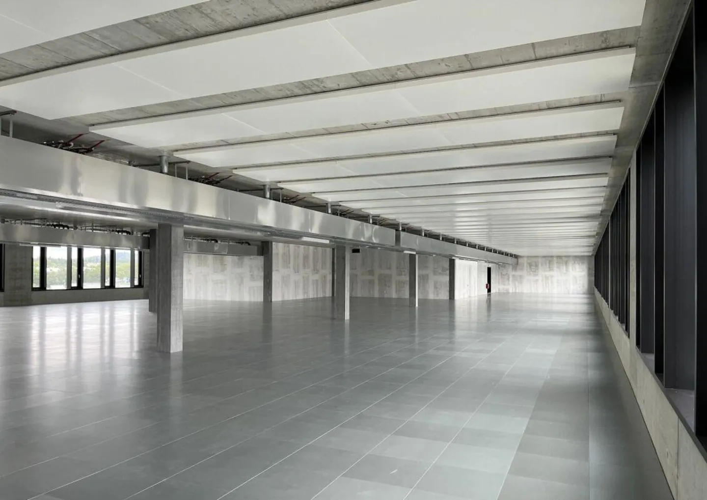 Posizione commerciale HANG-AAR Complesso da 500 m² - 1'200 m² - Foto 8 di 13