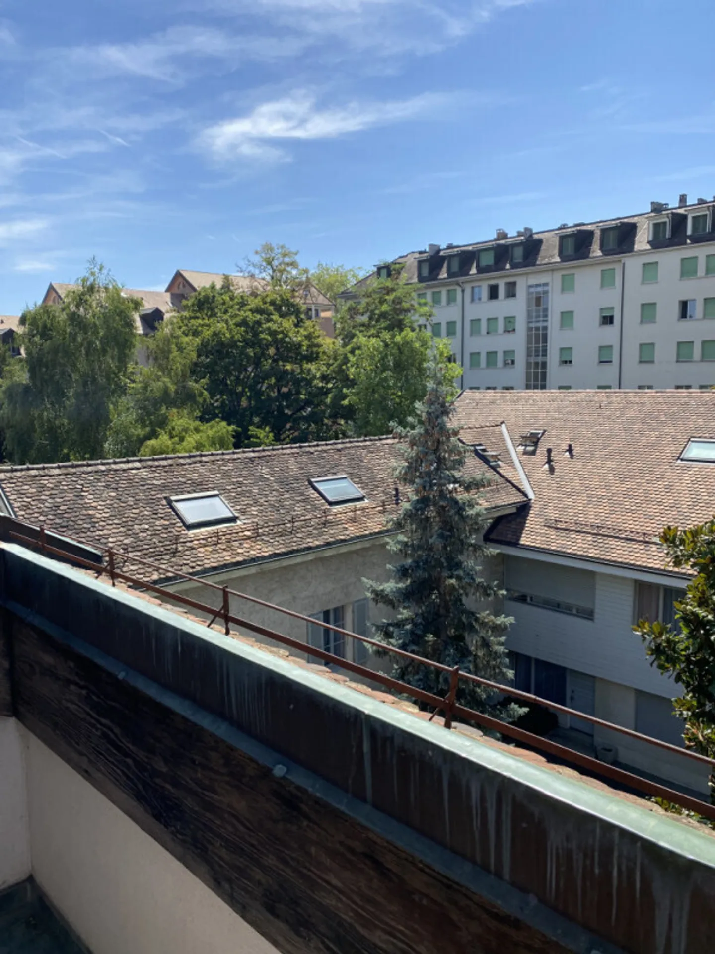 Bel appartamento con 2 stanze a Carouge (Ginevra) - Foto 8 di 8