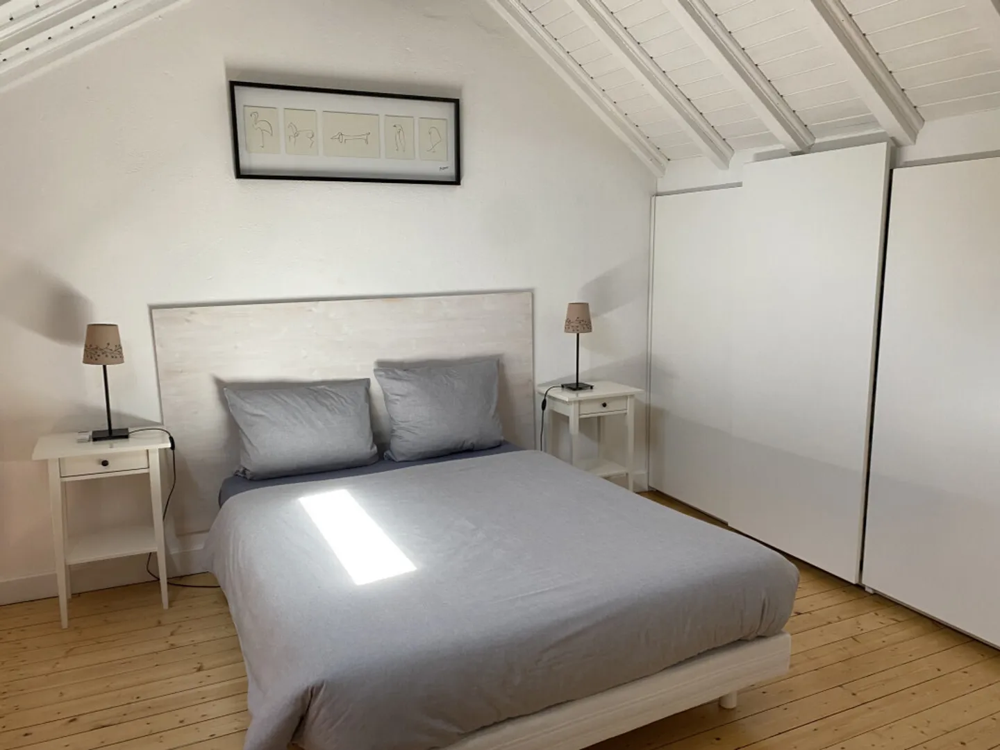 Bel appartamento con 2 stanze a Carouge (Ginevra) - Foto 4 di 8