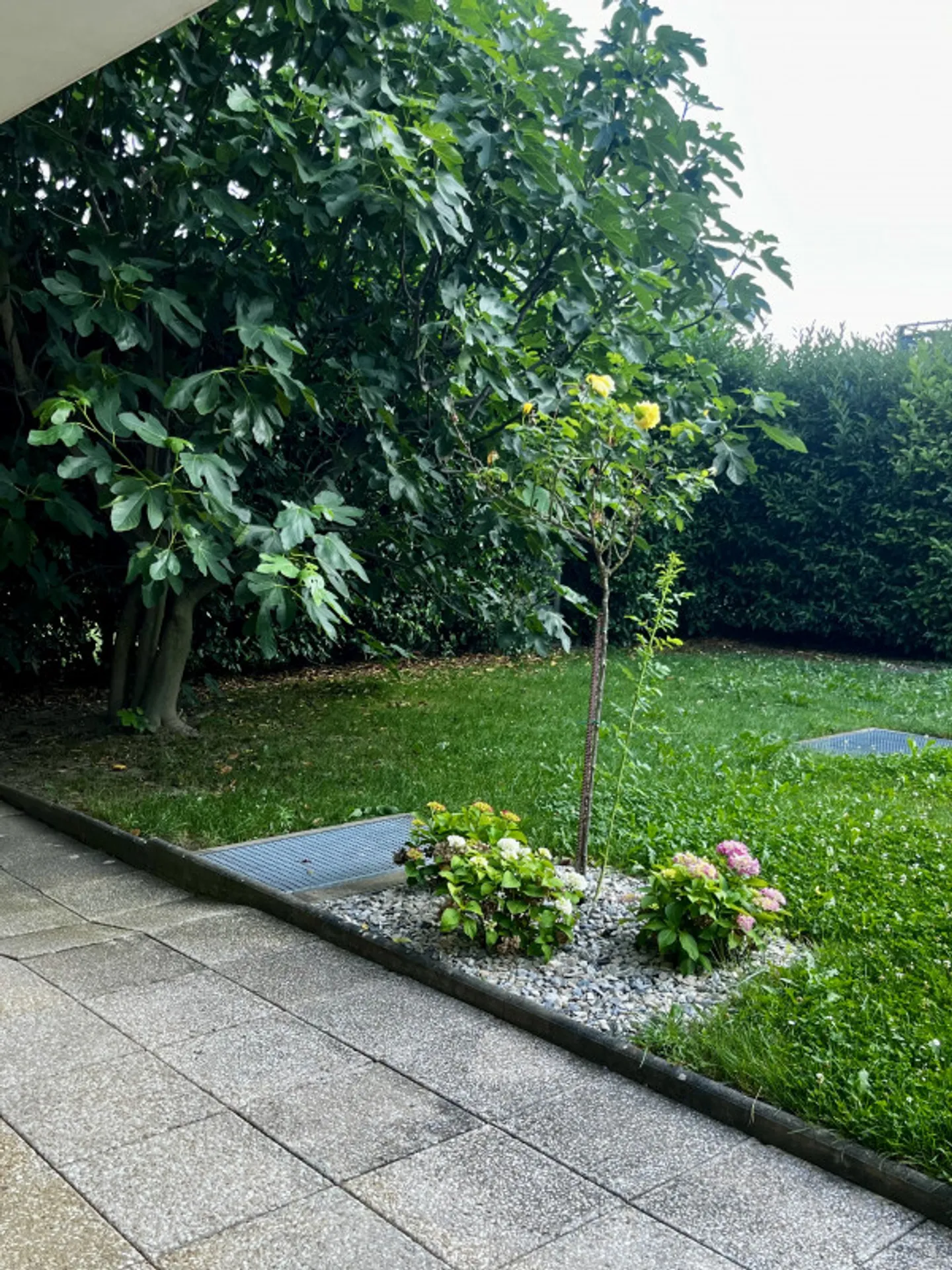 Charmante Erdgeschosswohnung - Foto 1 von 12