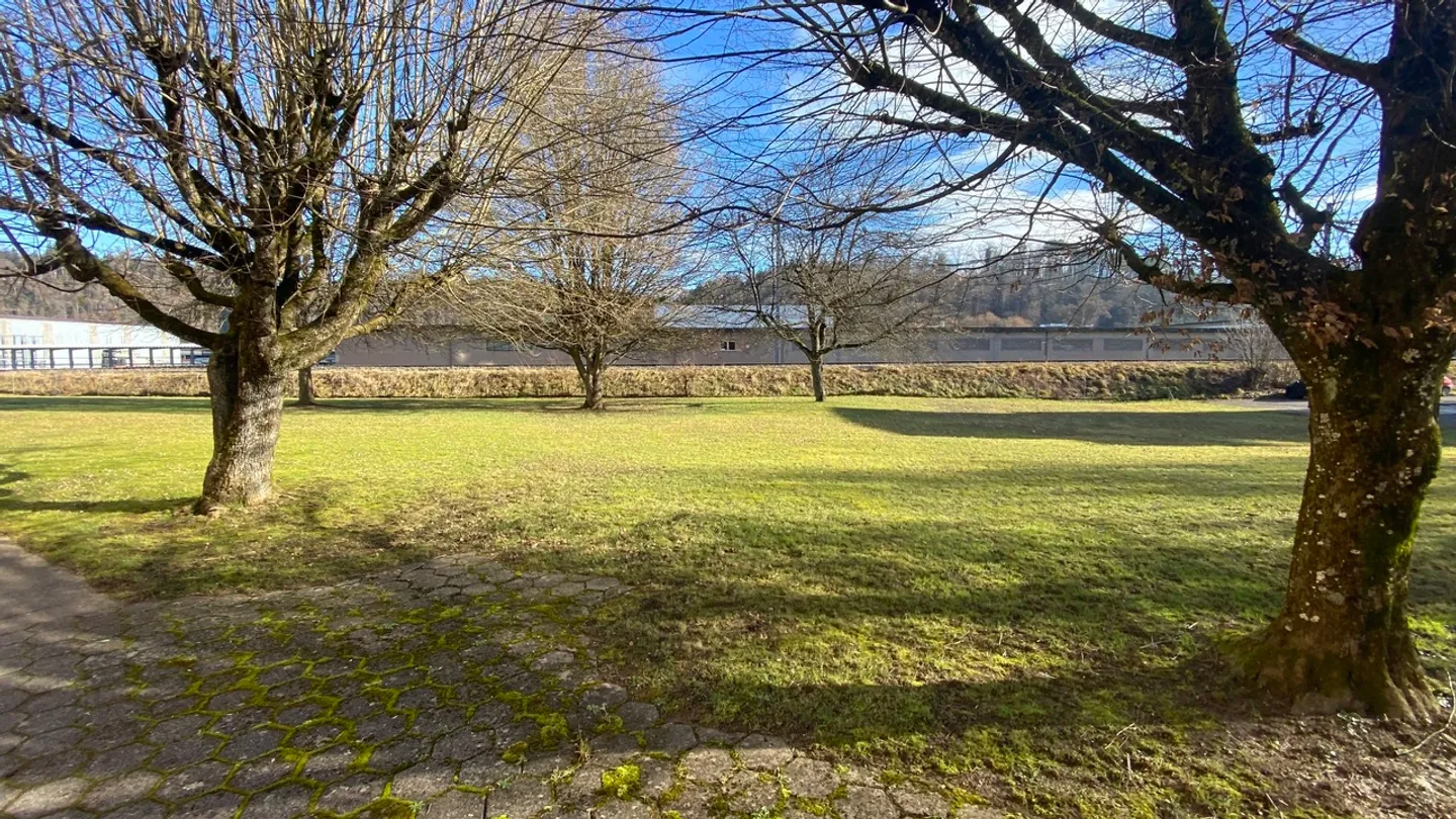 Charming House in Quiet Area - Photo 19 of 25