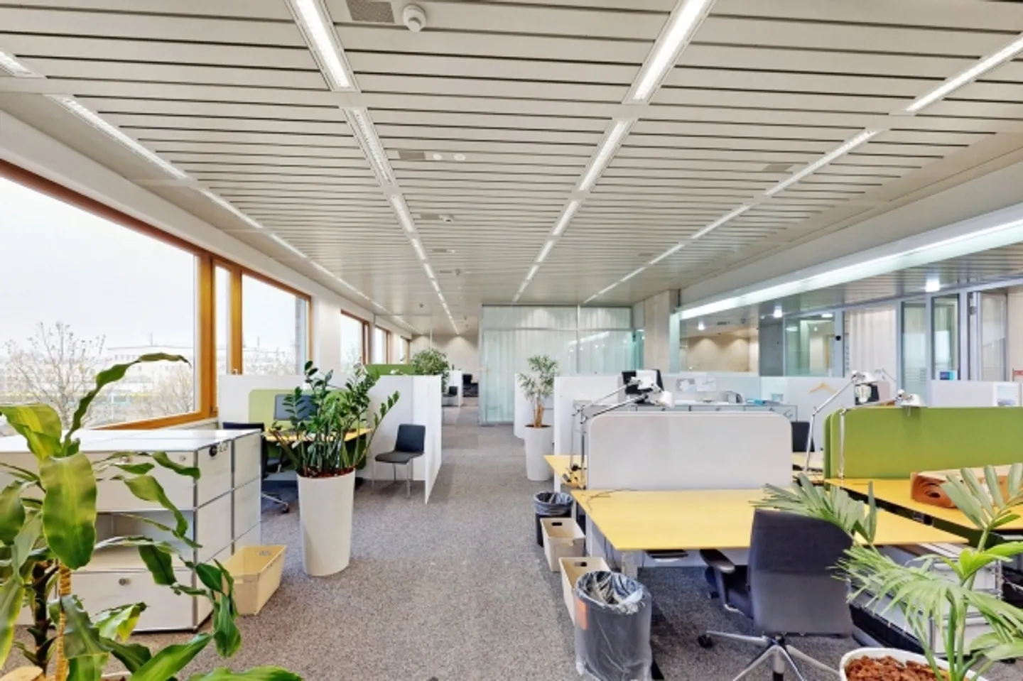 VIA Basilea - direttamente alla stazione ferroviaria di Basilea SBB - Foto 10 di 13