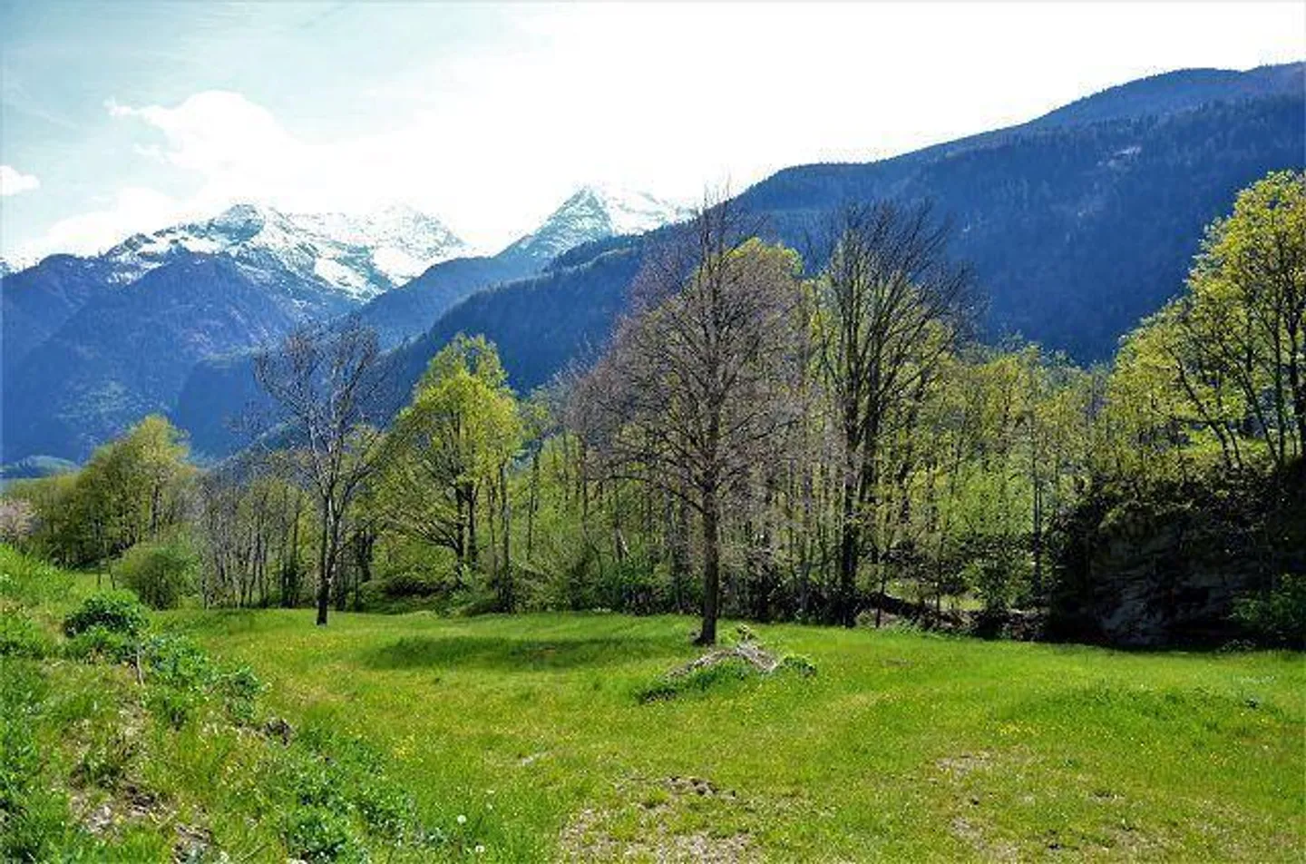 Peaceful Land Plot in Leventina - Photo 14 of 18