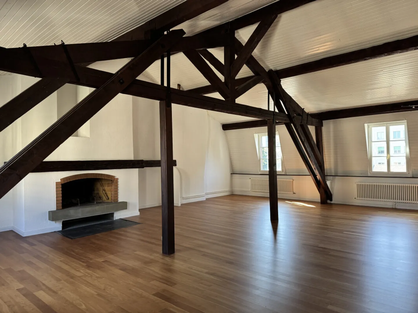 Magnificent renovated 7-room apartment in the heart of Carouge - Geneva - Photo 1 of 12