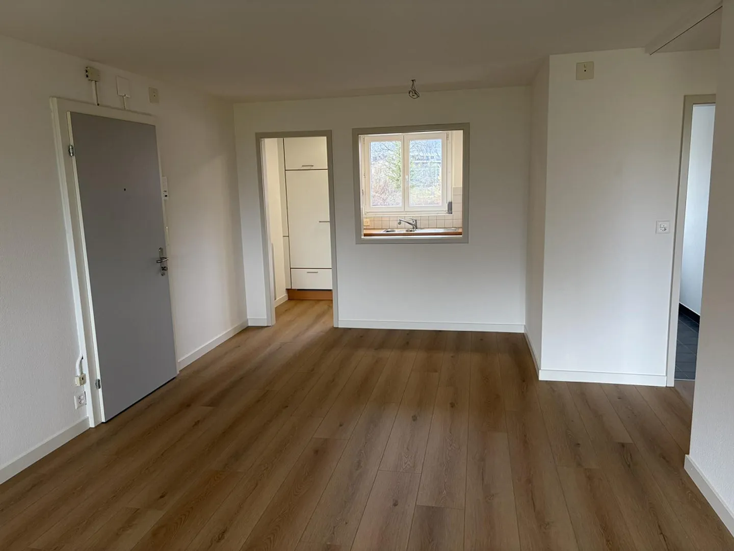 Newly renovated 4.5 room apartment with a fantastic view of the countryside - Photo 4 of 8