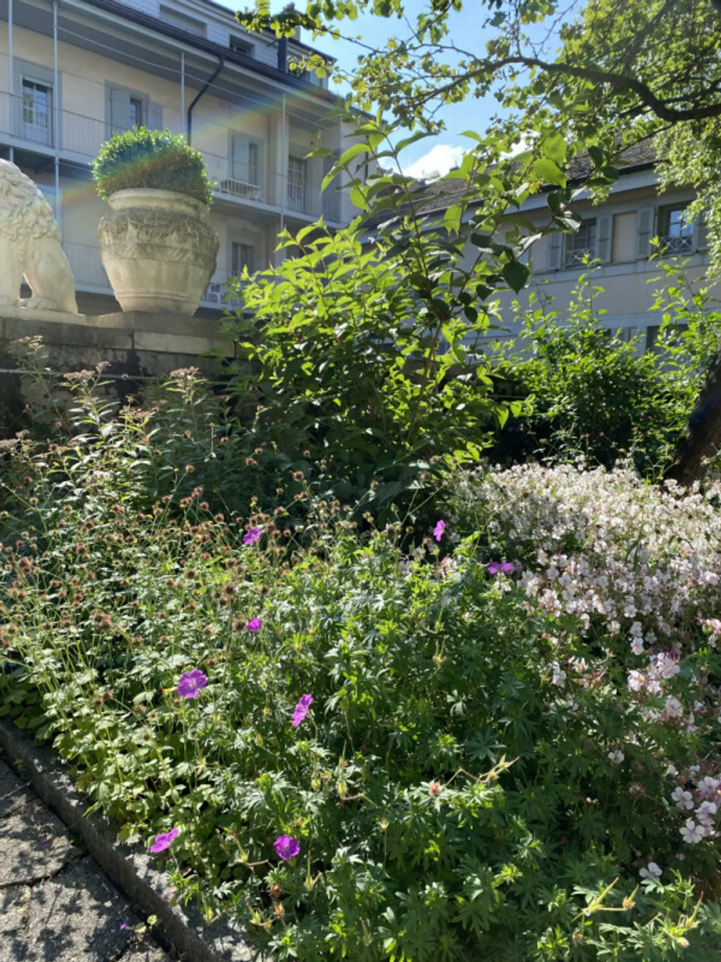 Magnificent renovated 7-room apartment in the heart of Carouge - Geneva - Photo 12 of 12