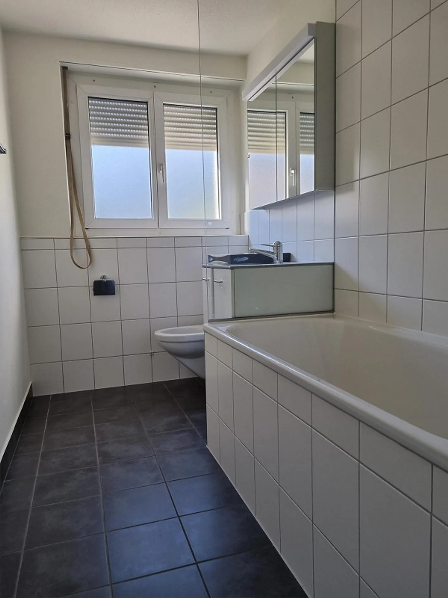 Newly renovated 4.5 room apartment with a fantastic view of the countryside - Photo 8 of 8