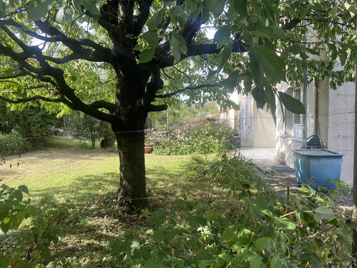 Charmantes 4.5-Zimmer-Reiheneinfamilien-Eckhaus mit Garten, - Photo 17 sur 17