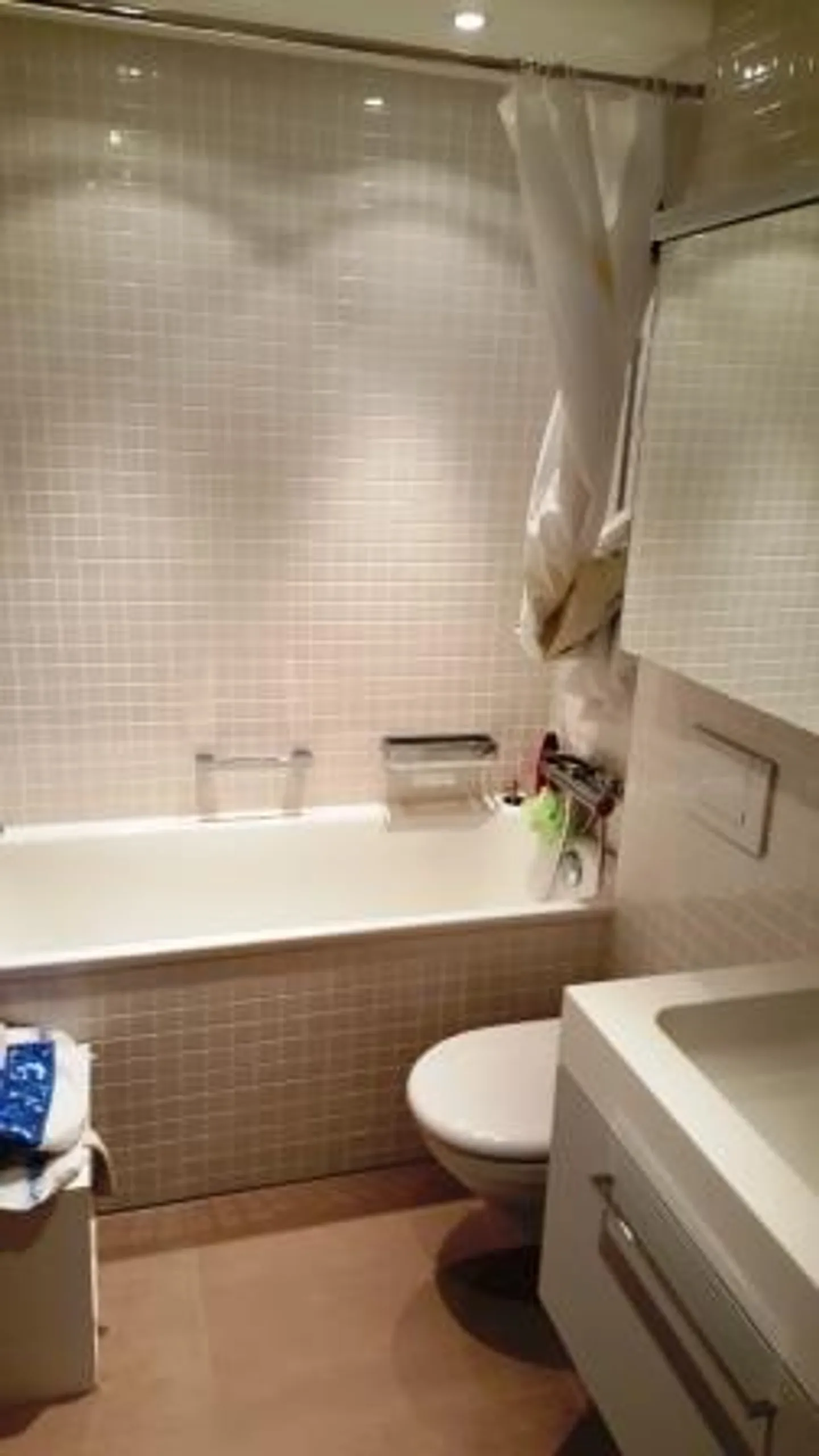 2.5 Room Apartment - Photo 3 of 6