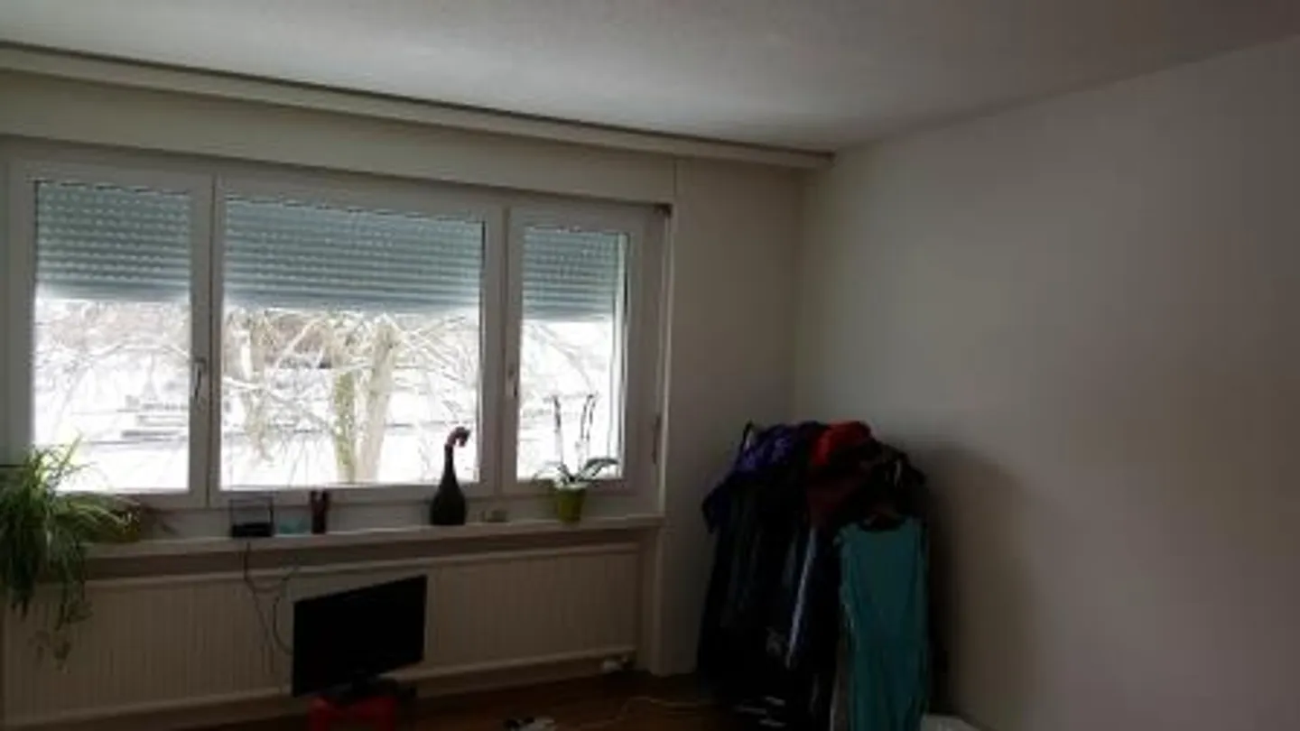 2.5 Room Apartment - Photo 4 of 6