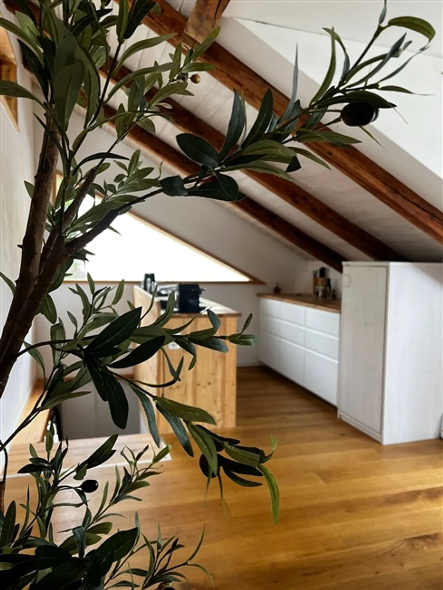 Charmantes Tiny House Am Rhein - Foto 2 von 6