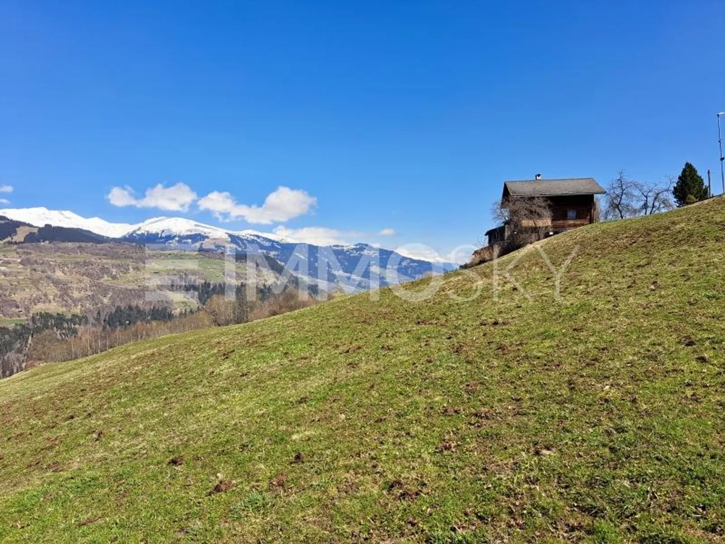 Immobile in affitto - Foto 4 di 5