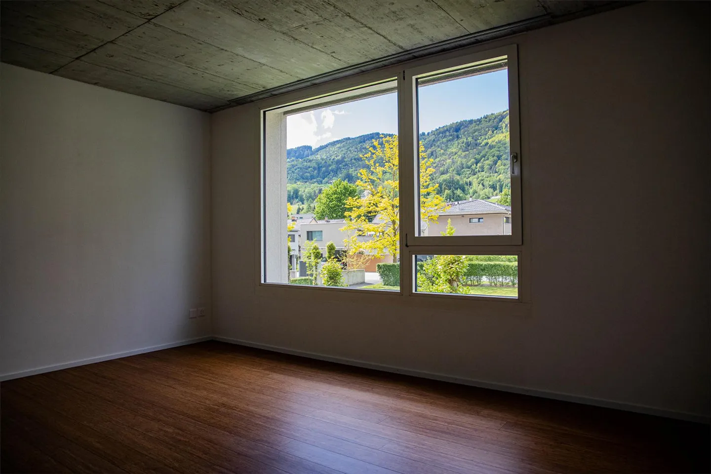 Cozy apartment with a view of greenery - Photo 4 of 5