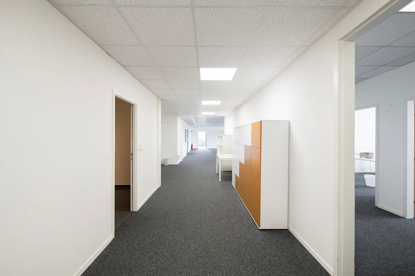 CTN - Biotechnology Laboratory Facilities - Photo 4 of 5