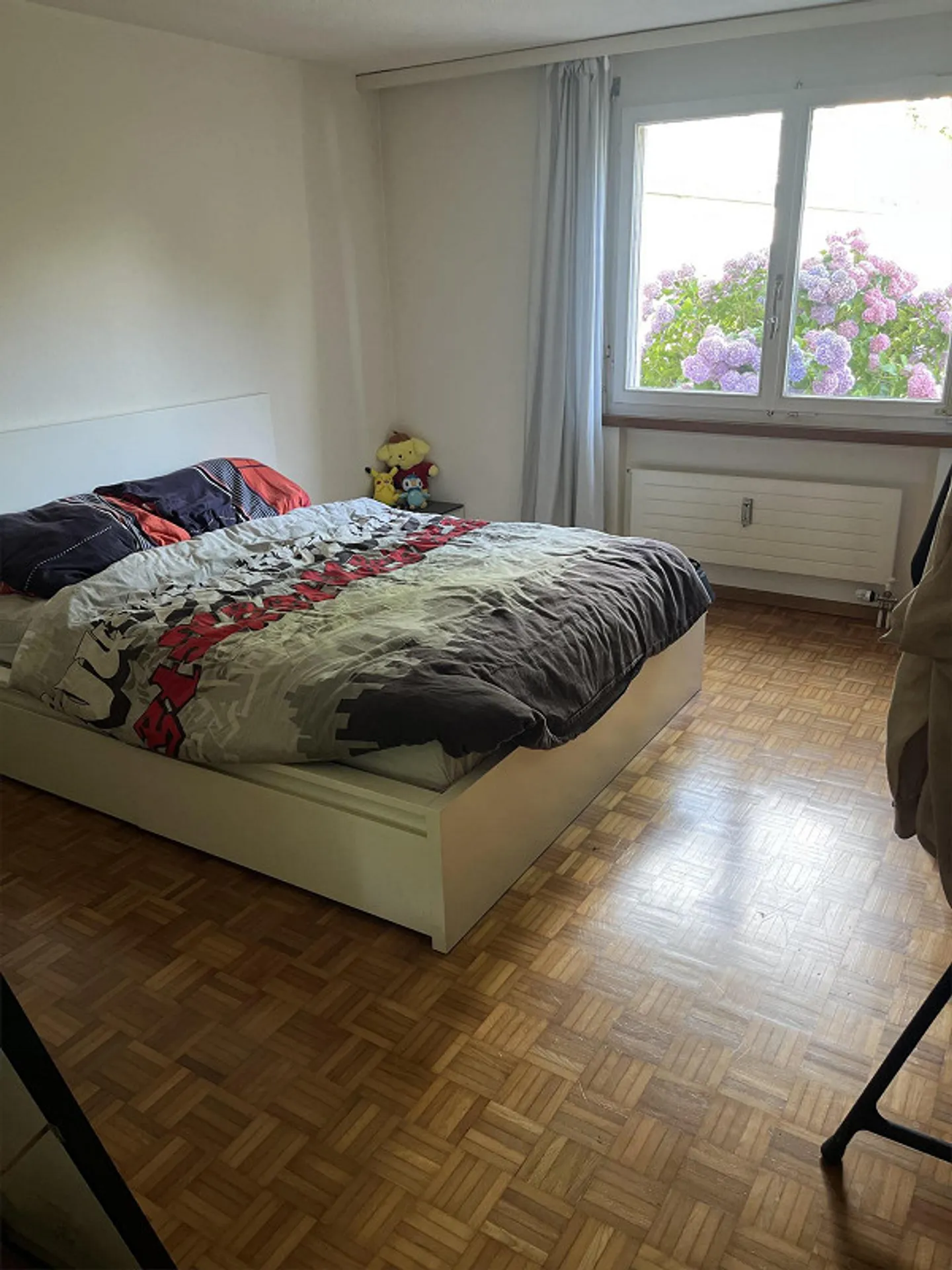 2.5 Room Apartment - Photo 2 of 4