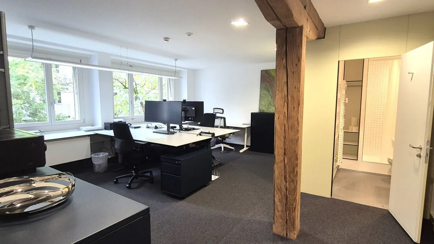 Bureau d'équipe meublé avec salle de bain privée et service de première classe au cœur de Bâle - Photo 1 sur 12