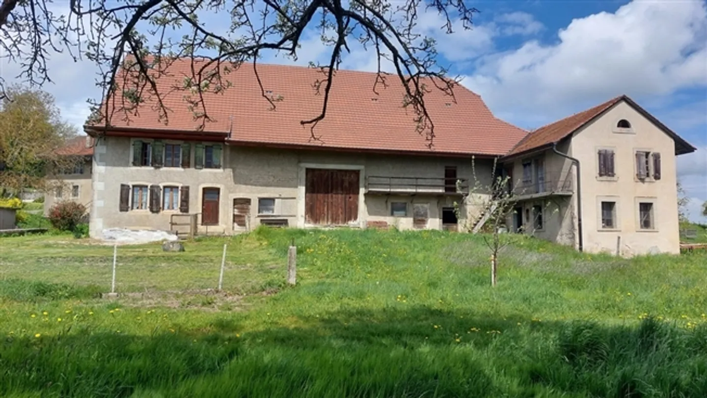 Azienda agricola con sala pollame - Foto 3 di 20