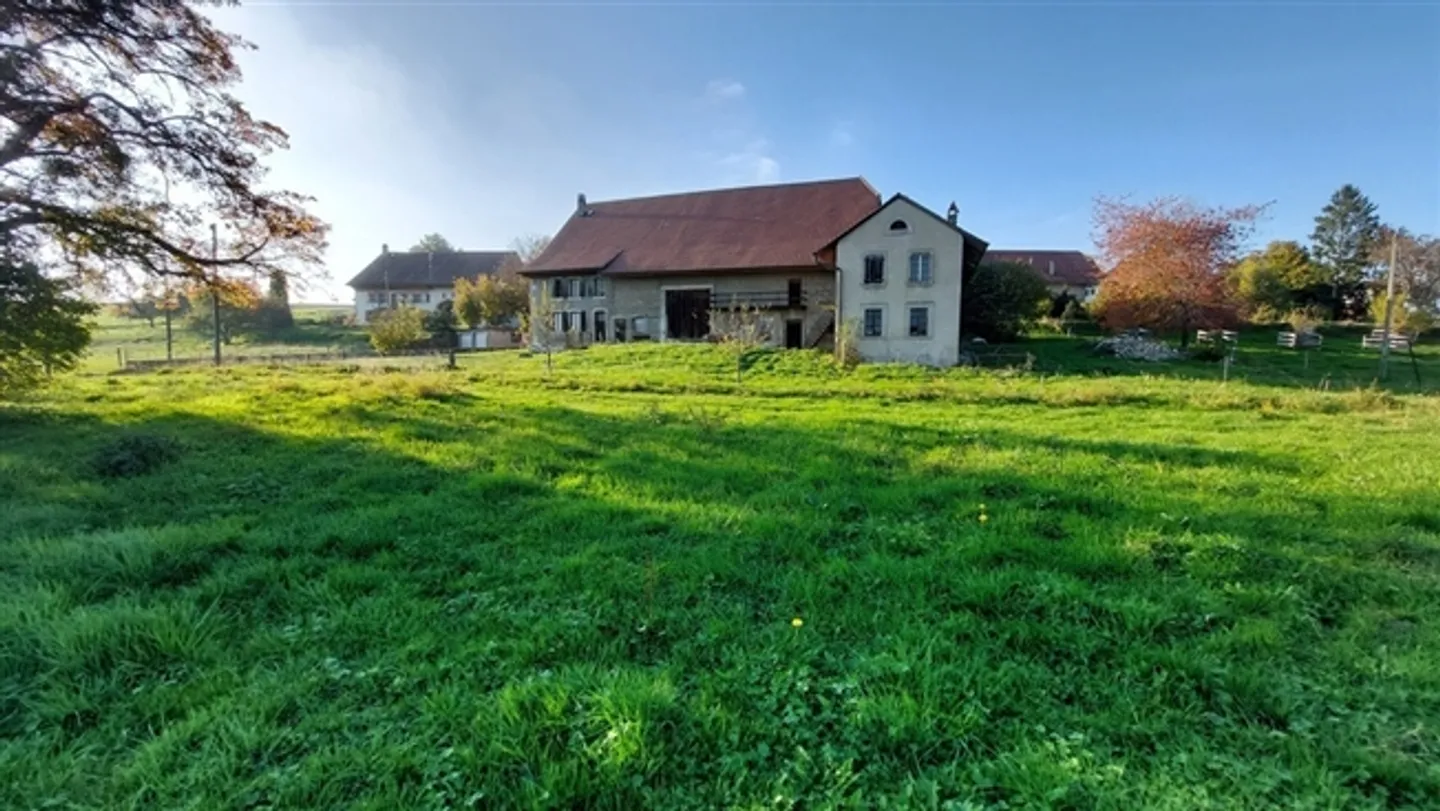 Azienda agricola con sala pollame - Foto 7 di 20