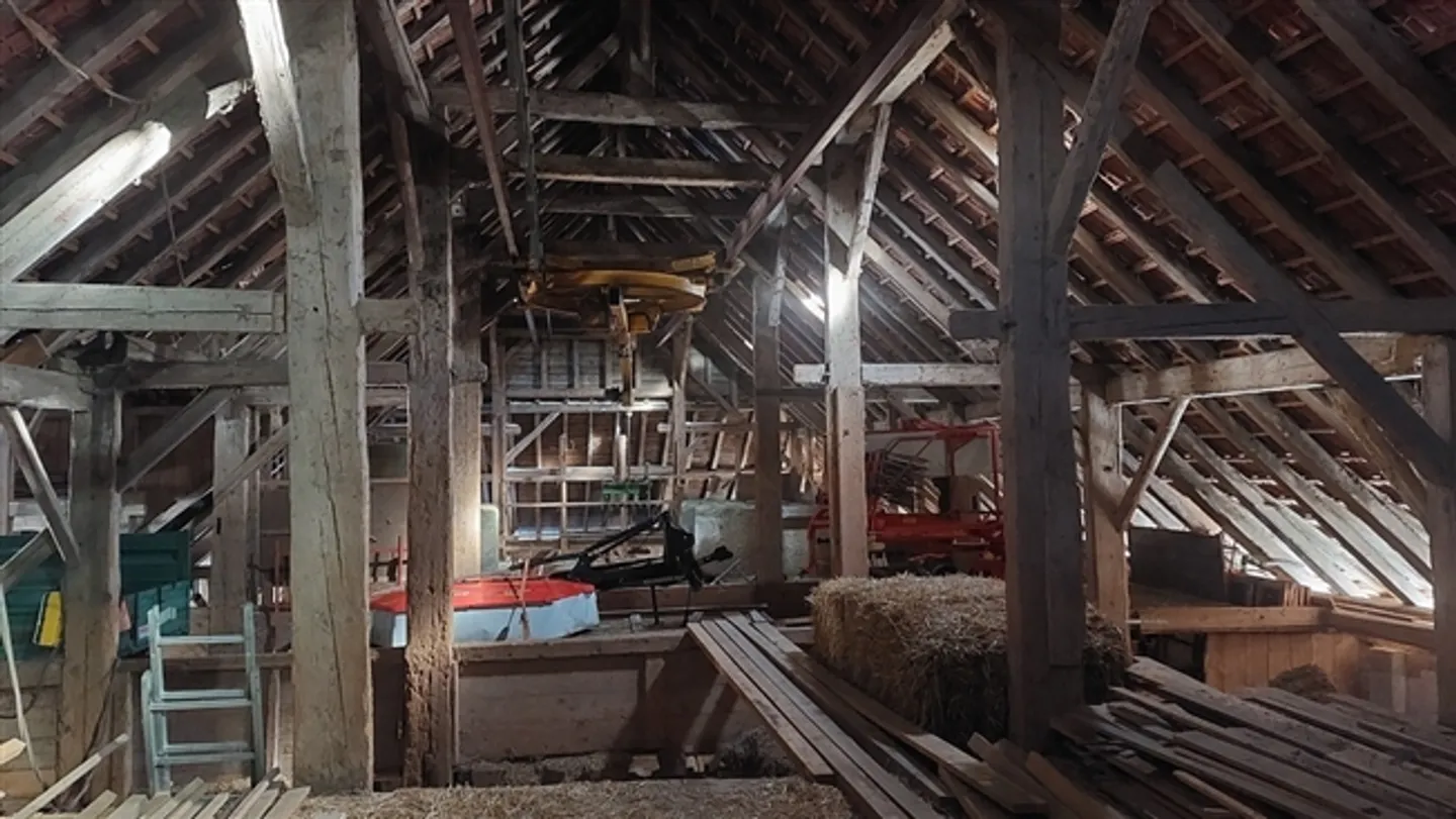 Azienda agricola con sala pollame - Foto 11 di 20