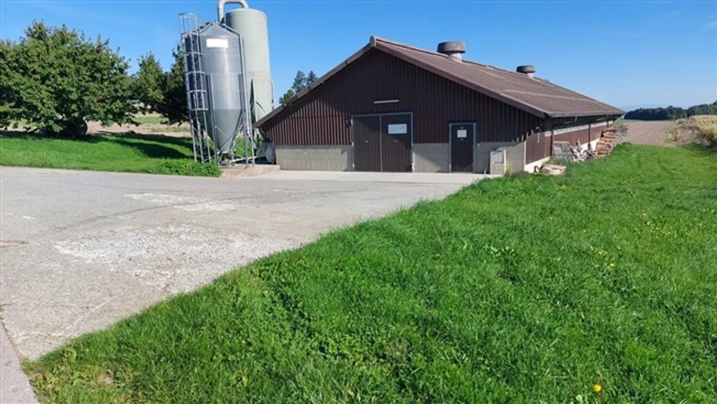 Azienda agricola con sala pollame - Foto 20 di 20