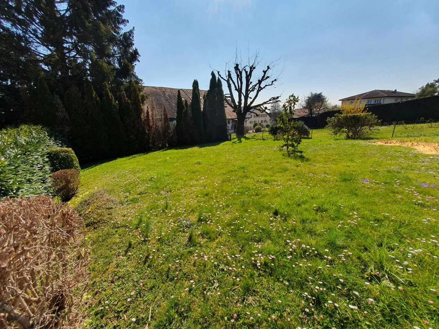 Penthouse for sale - Photo 6 of 9