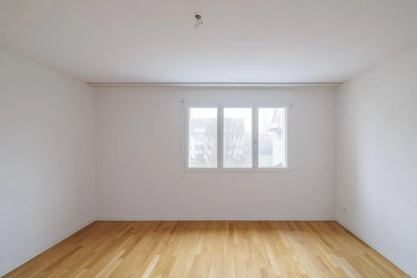 4.5 Room Apartment - Photo 3 of 12