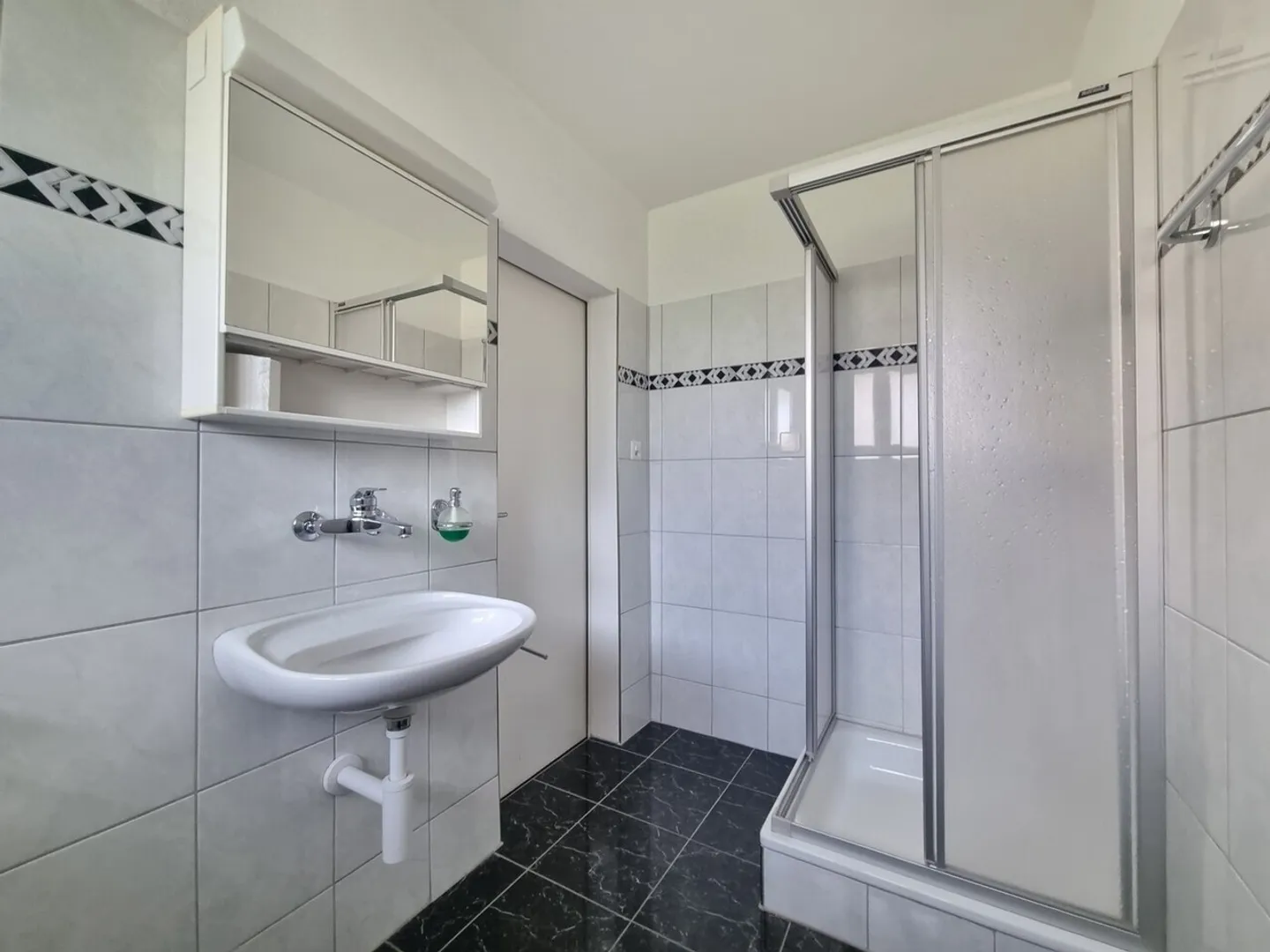 Emplacement parfait pour votre entreprise à Triemli - Photo 4 sur 5