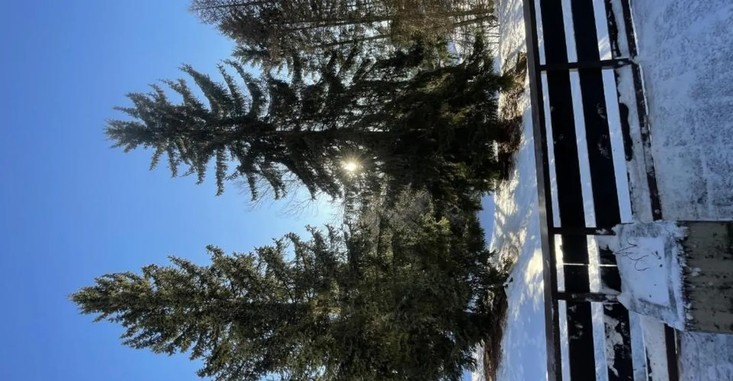 Nel cuore di Crans, a pochi passi da tutti i tuoi desideri - Foto 10 di 11