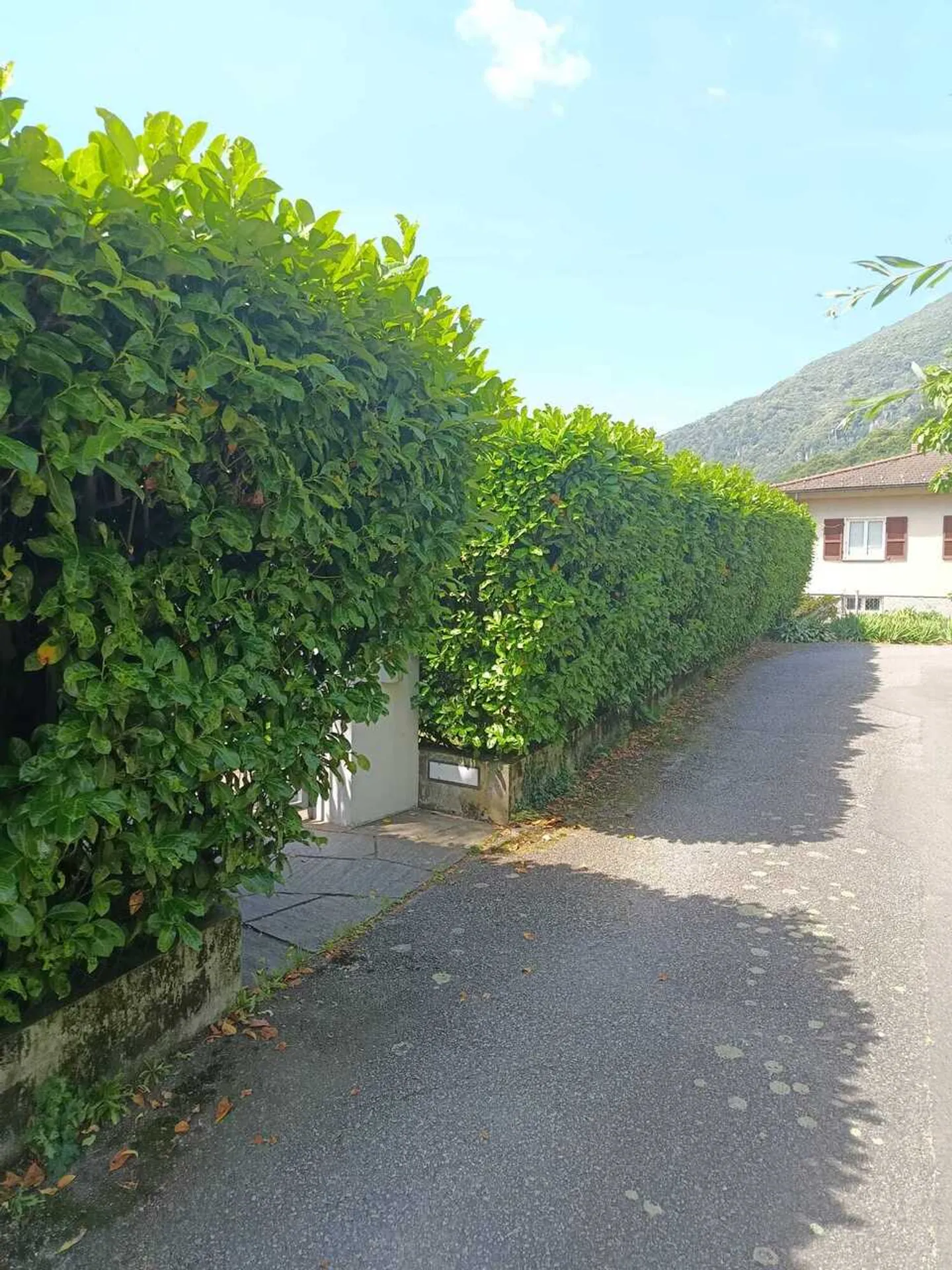 BELLINZONA/GALBISIO - Single-family villa with large garden - Photo 16 of 17
