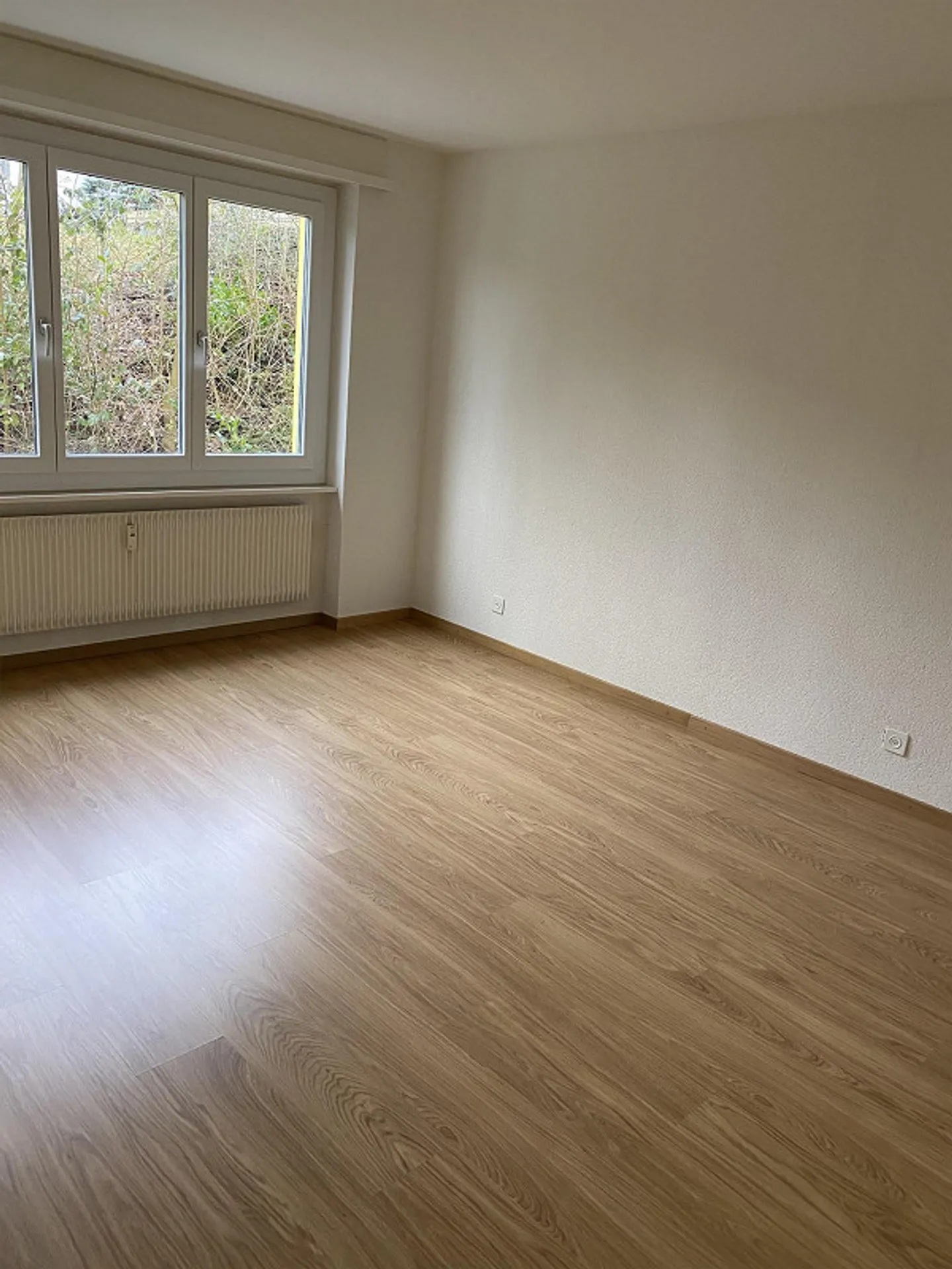 4 Room Apartment - Photo 11 of 16