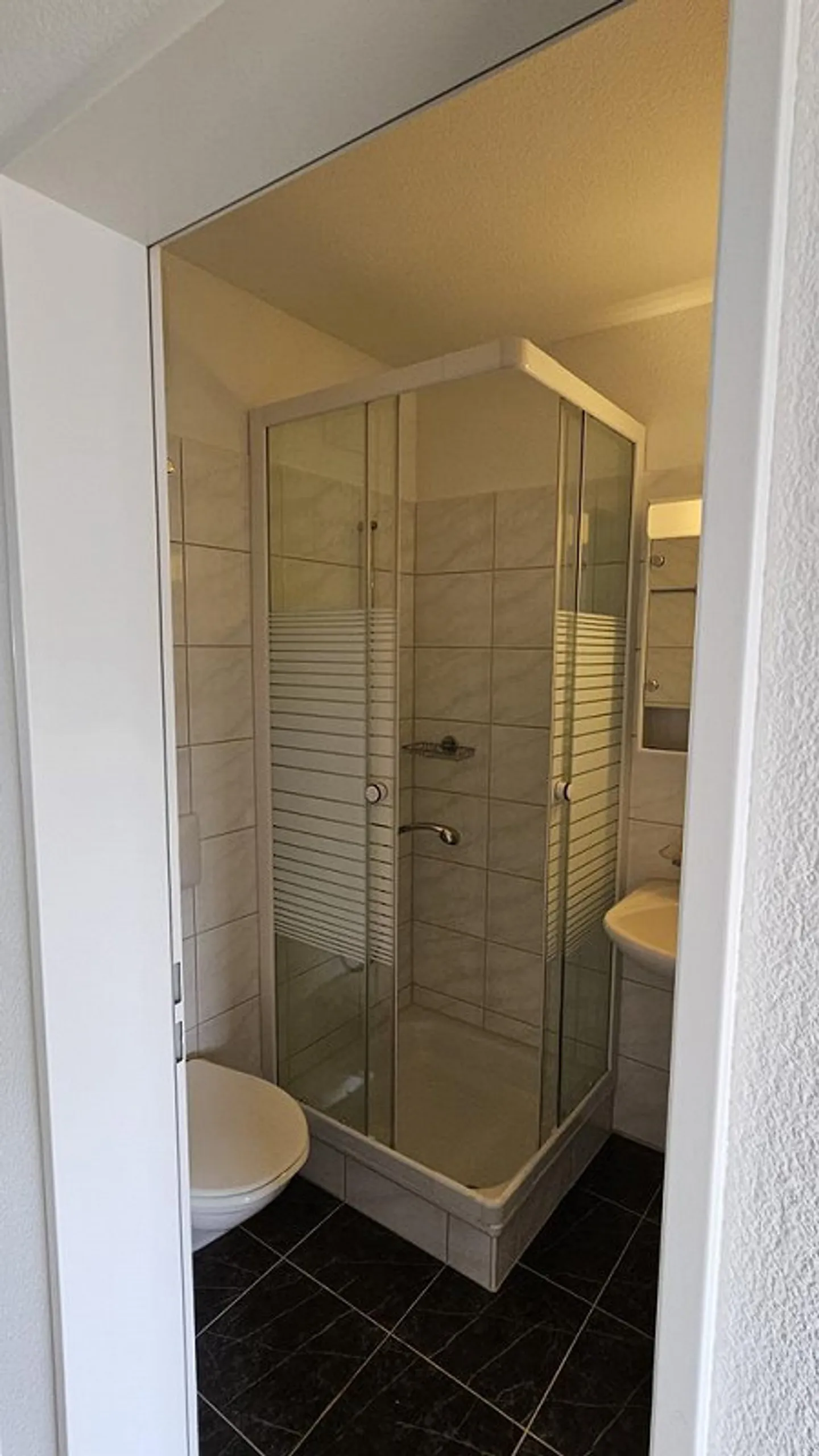 Einzigartige Triplex-Wohnung in Zürich - Foto 4 von 12