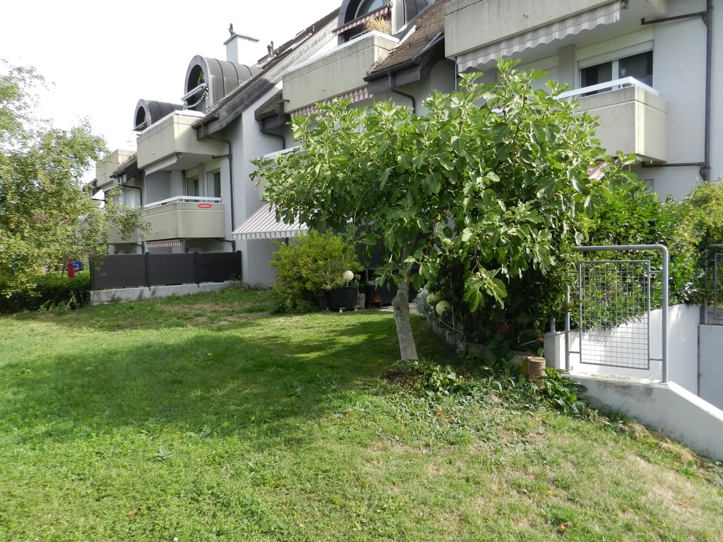 Charming 3.5-Room Apartment - Photo 1 of 15