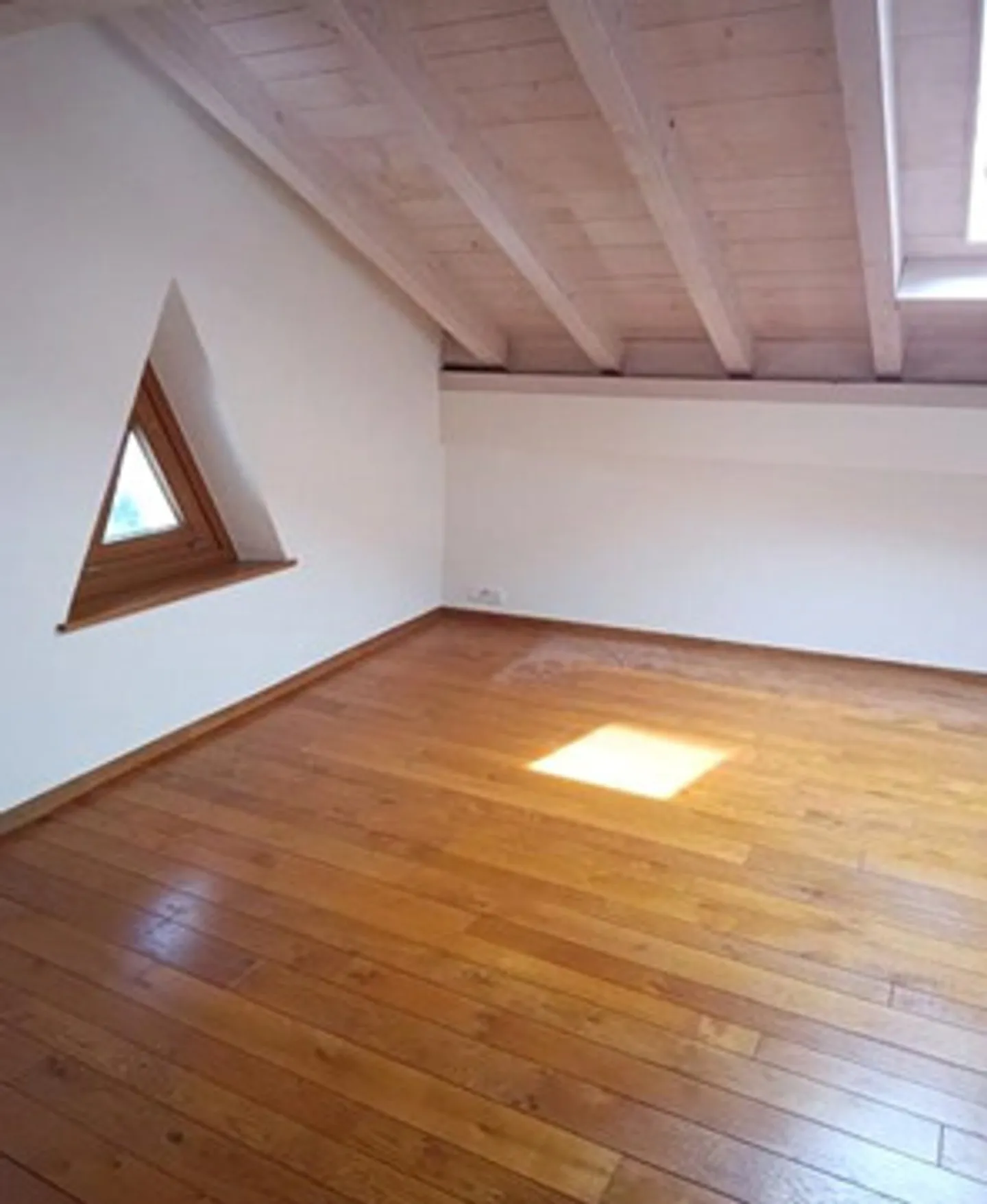 Bellissimo Triplex nel comune di Plan-les-Ouates - Foto 5 di 5