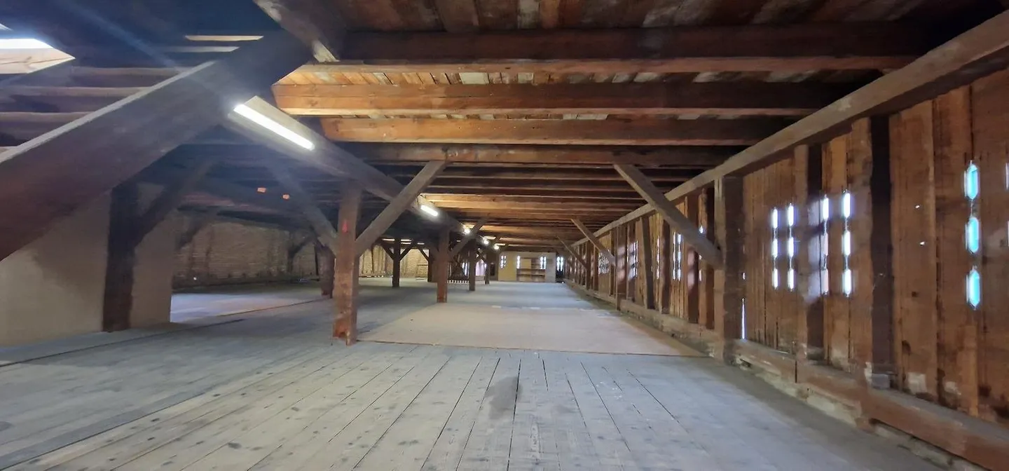 Hangar spacieux - Photo 4 sur 10