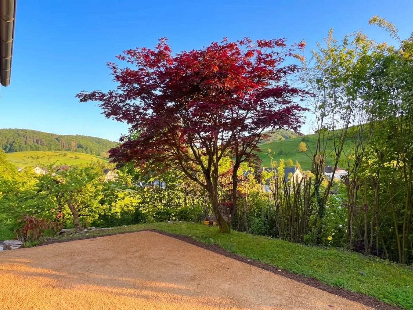 Casa unifamiliare di 4,5 stanze appena ristrutturata a Magden - Foto 11 di 12
