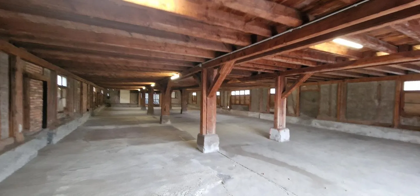 Hangar spacieux - Photo 1 sur 10