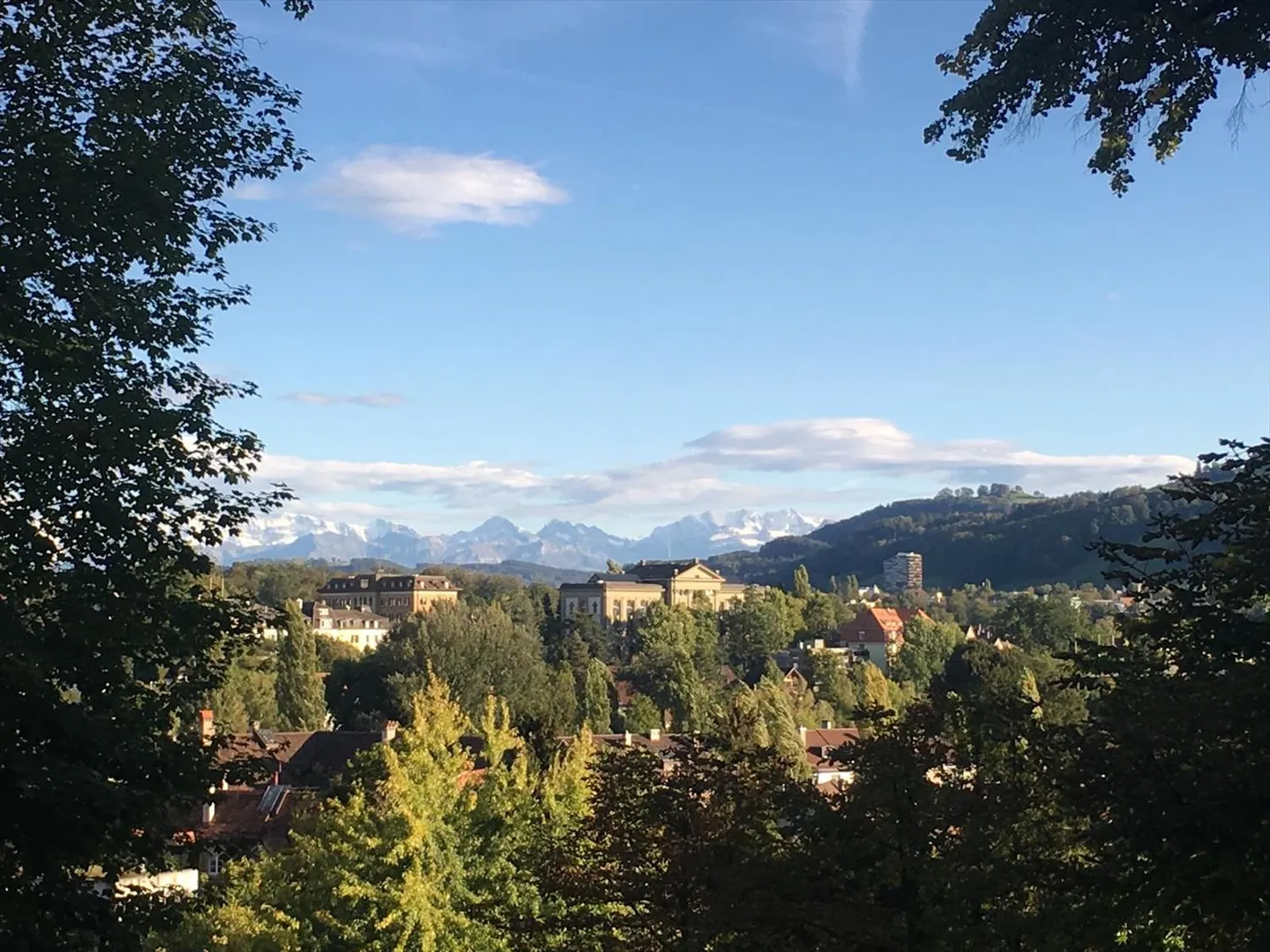 VENDITA RISERVATA VICINO ALLA STAZIONE DI BERN - Foto 5 di 11