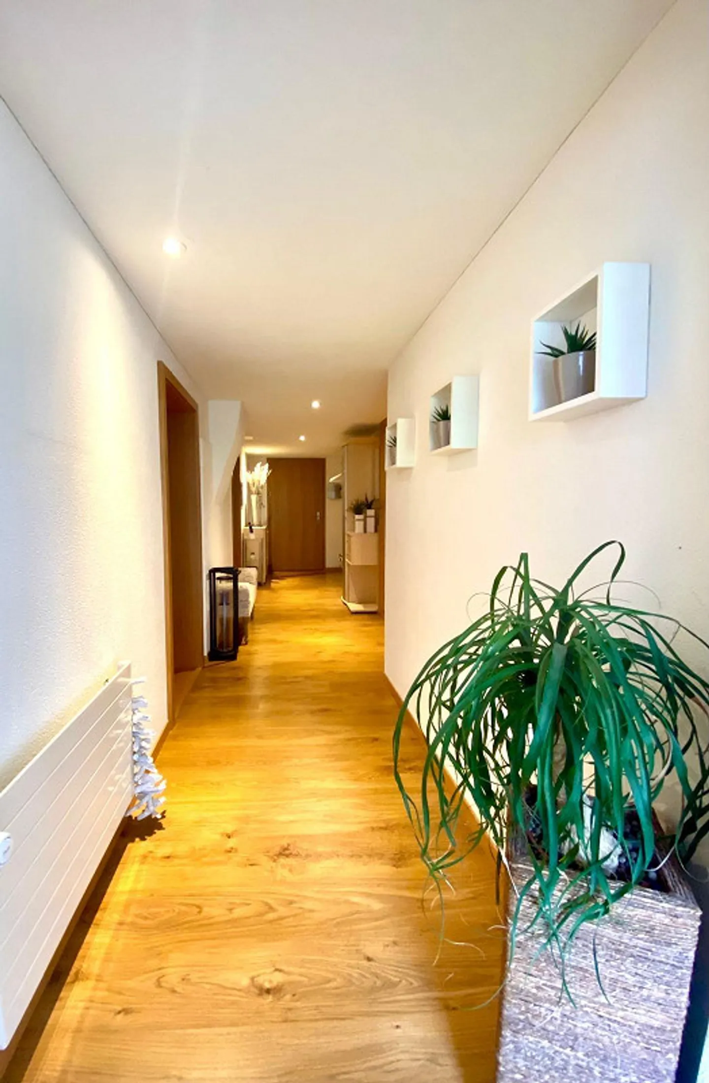 3 1/2 Room Apartment - Photo 1 of 9