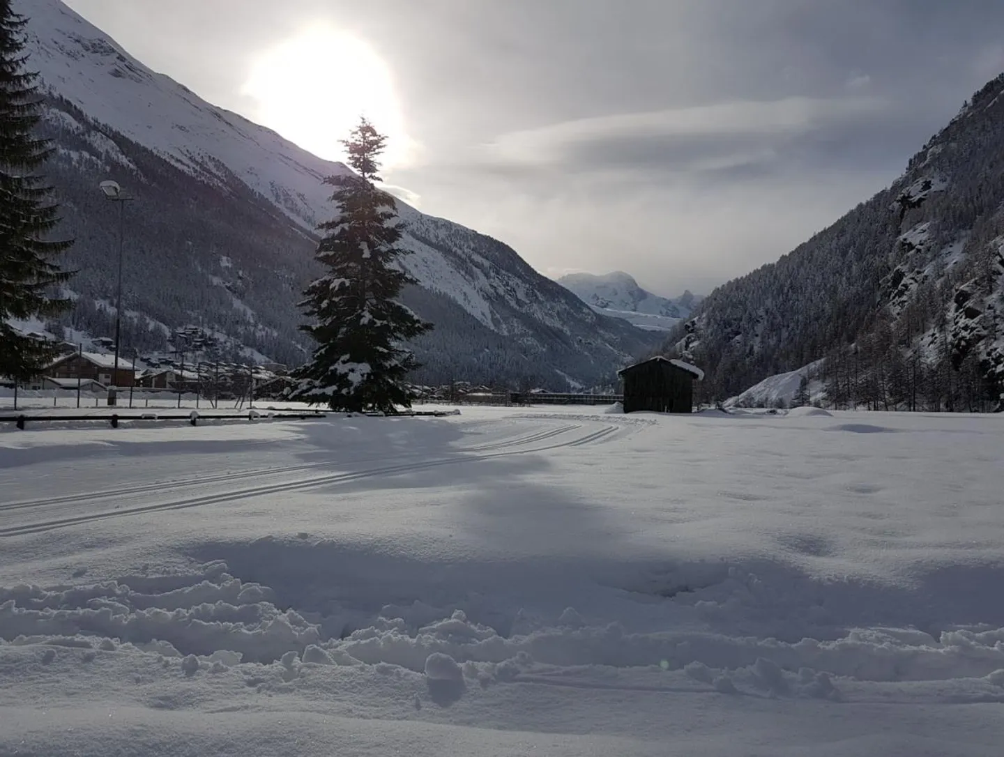 2.5 Room Apartment - Photo 5 of 5