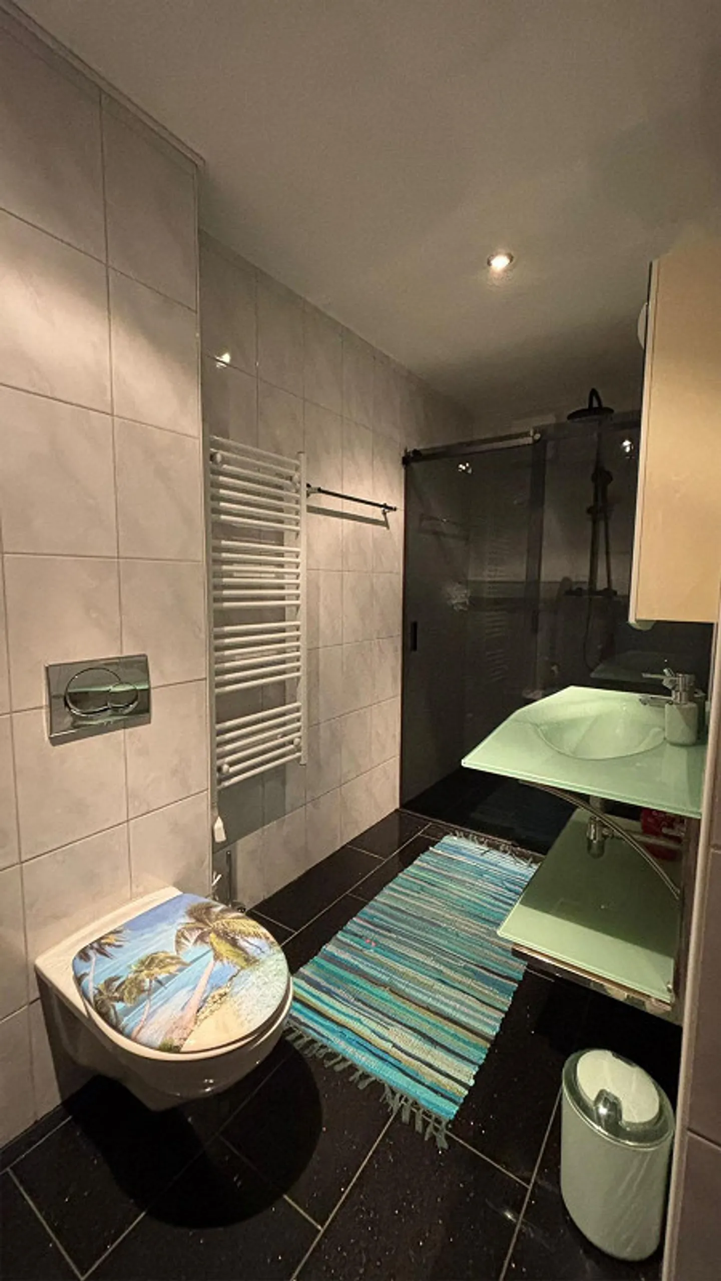 Appartement 2 1/2 à louer - Photo 8 sur 16