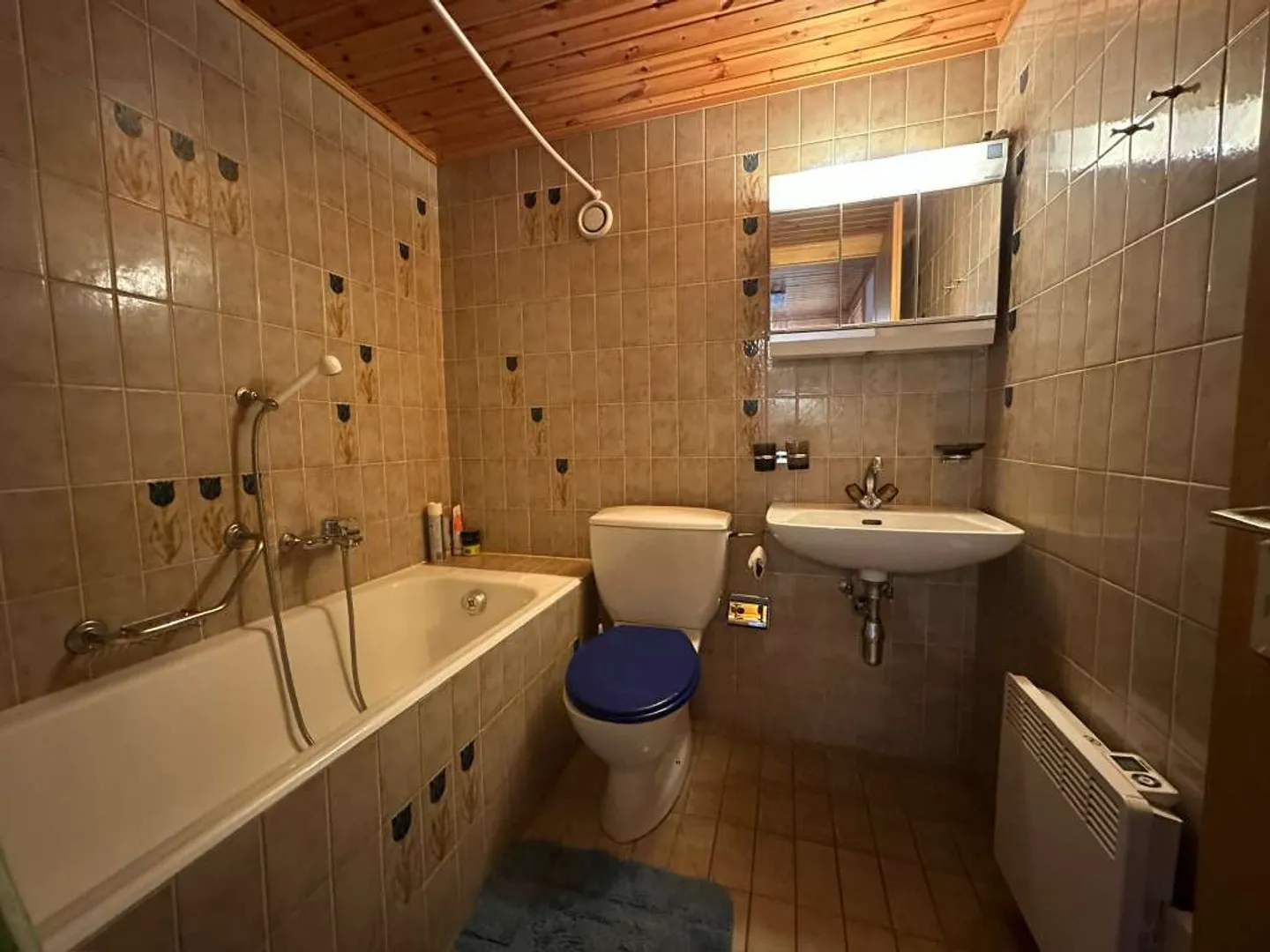 MAYENS DE BRUSON - Direkter Zugang zu den Skipisten von Bruson - Foto 10 von 11