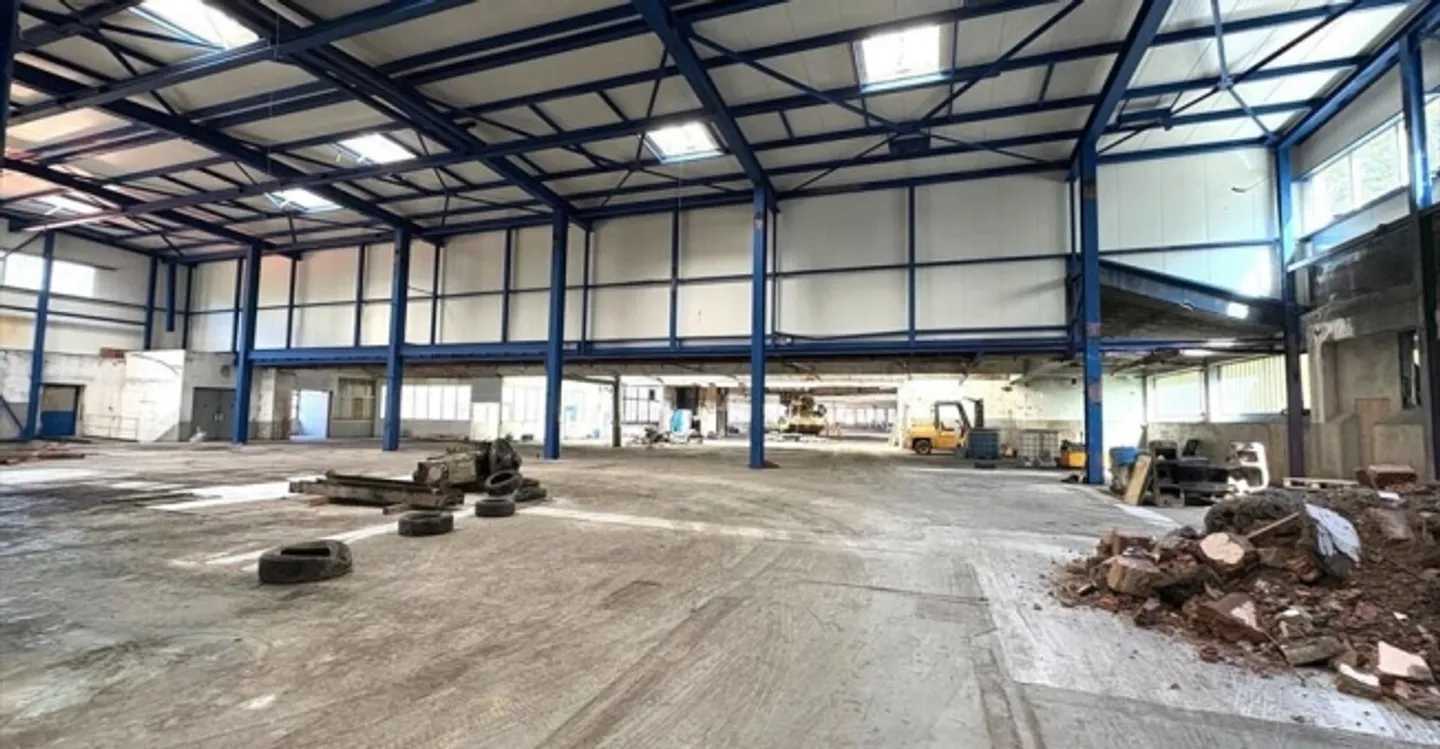 Einlage - Foto 2 von 7