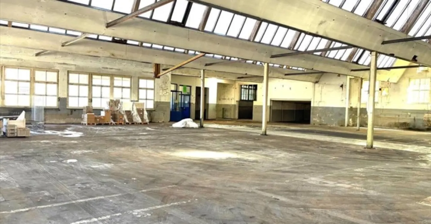 Einlage - Foto 4 von 7