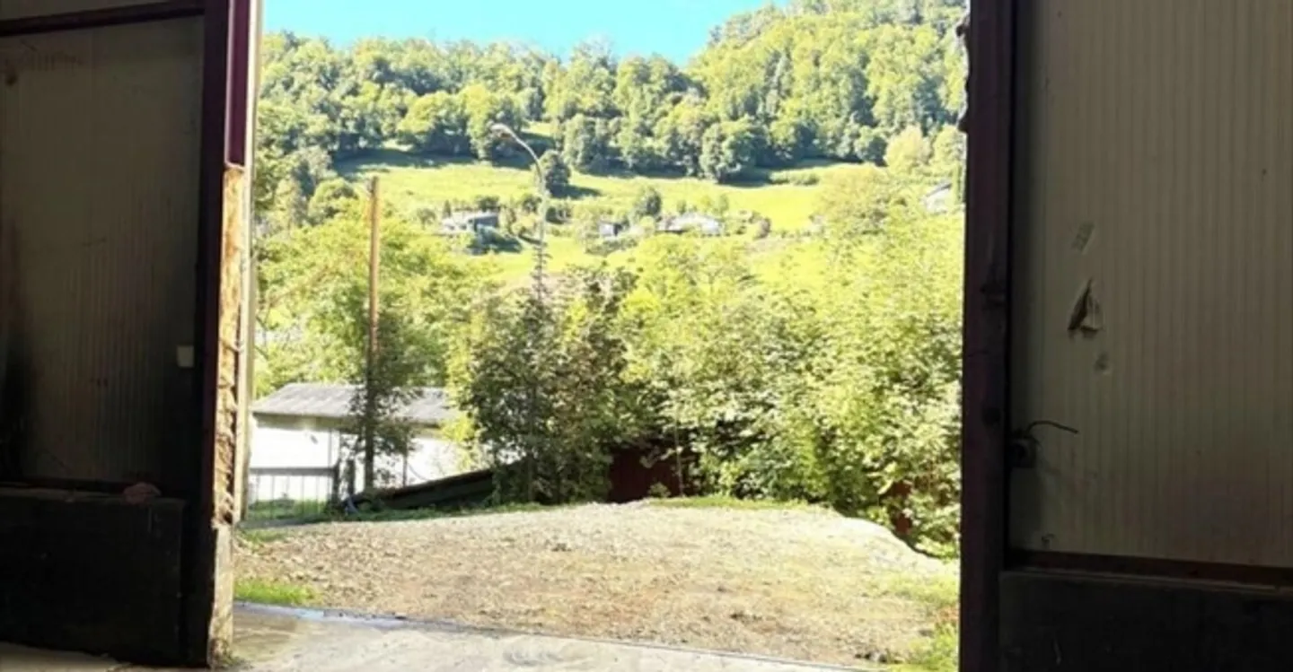 Einlage - Foto 7 von 7