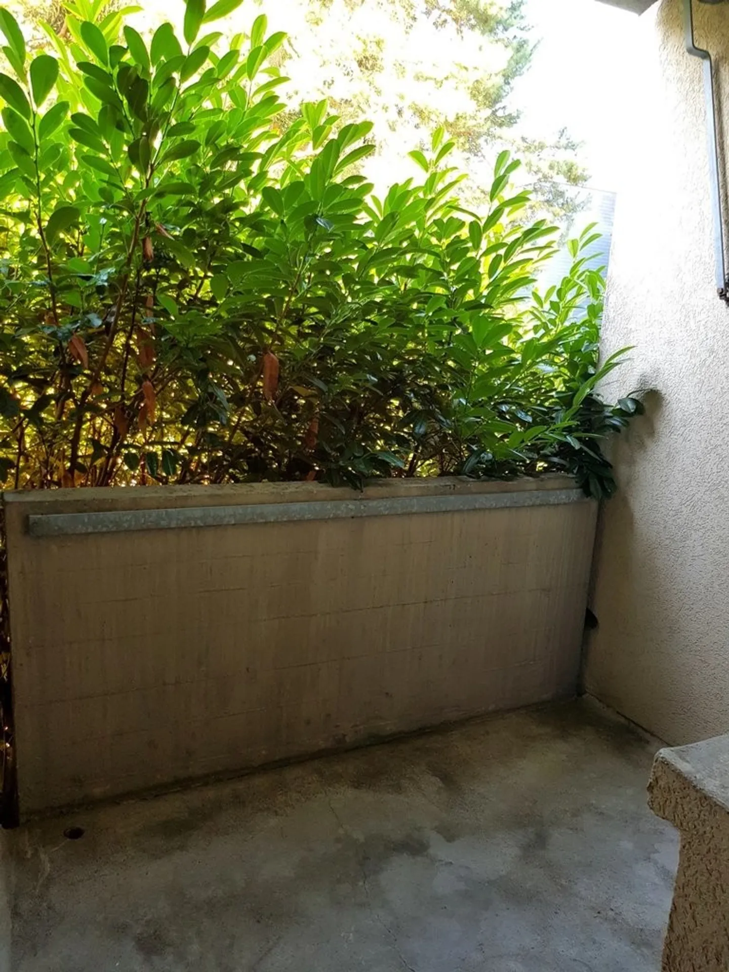 Le parfait appartement pour célibataire ! - Photo 6 sur 6