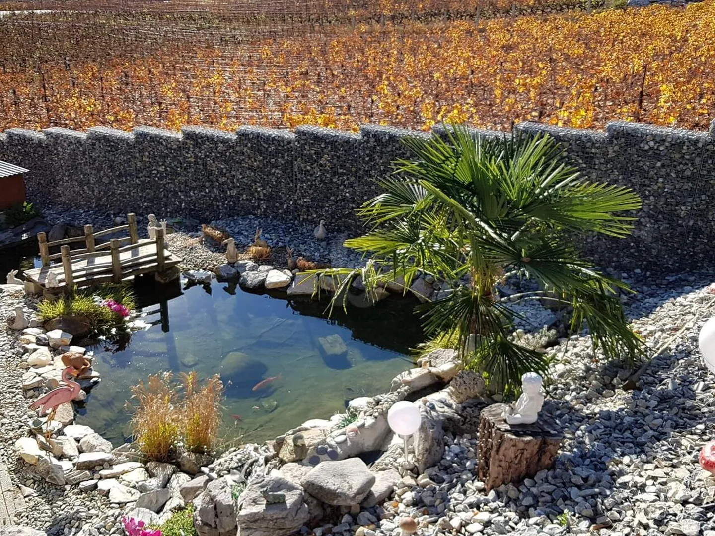 UNIQUE IN AN IDYLLIC SETTING! - Photo 4 of 6
