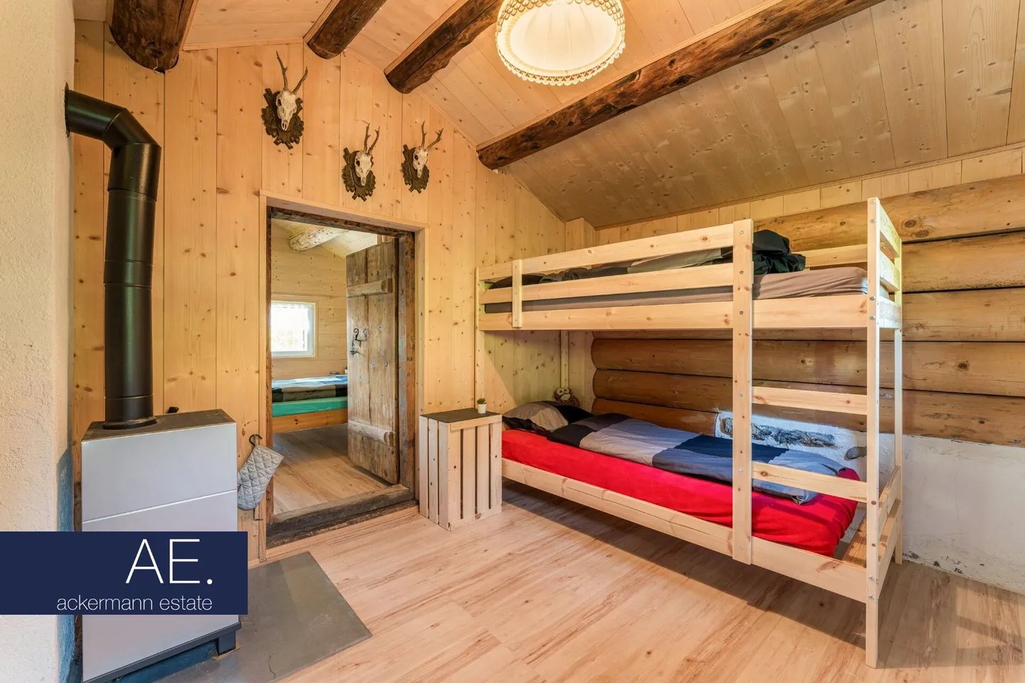 Alpine Cabin in the Midst of Wide Mountain Meadows - Photo 10 of 11