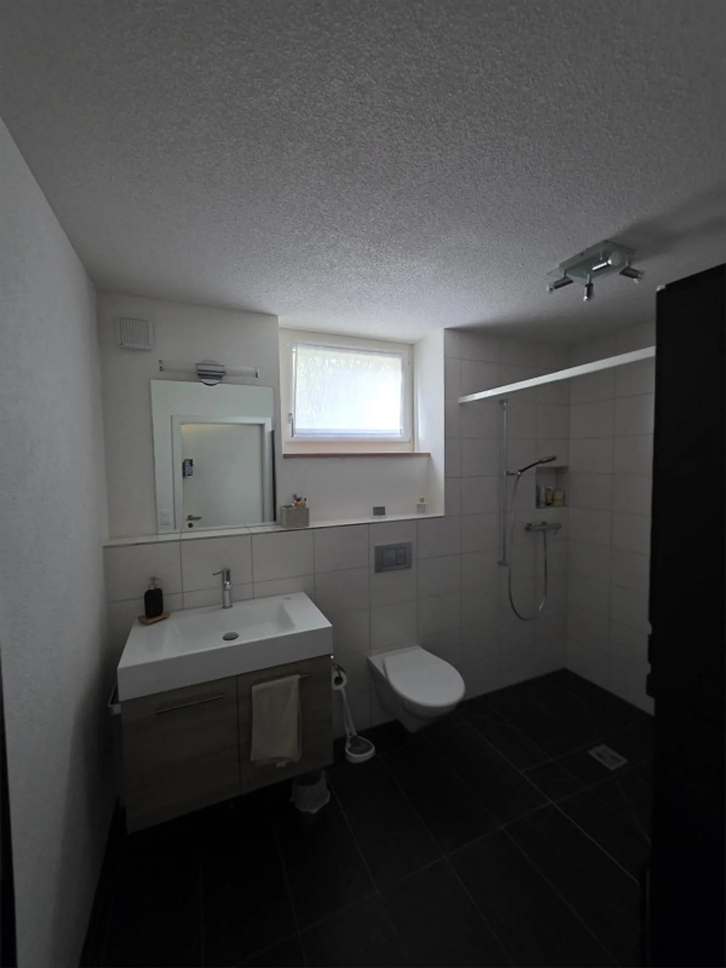 Looking for a new tenant for bright 2-room apartment in Rothenthurm - Photo 5 of 11
