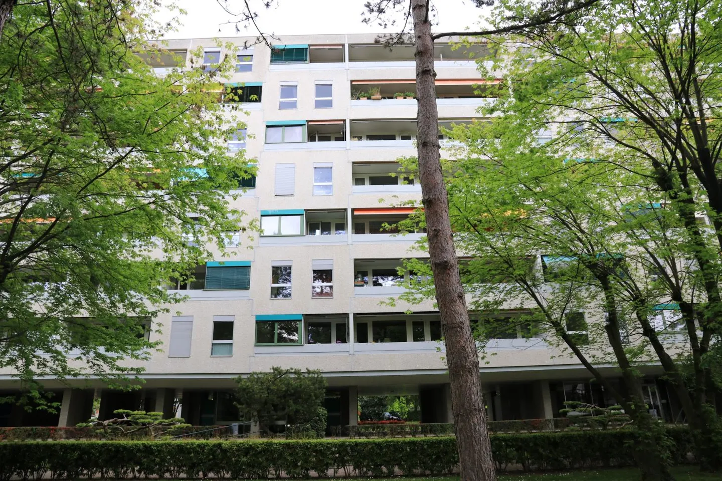 5-Zimmer-Wohnung - Foto 1 von 1