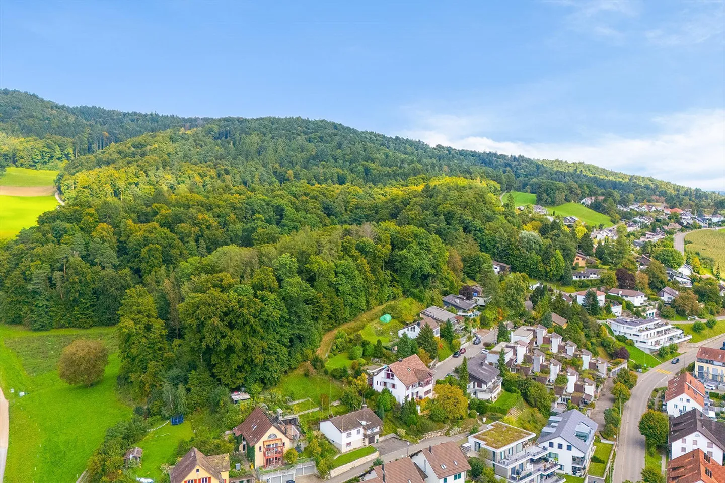 Meilleure situation : Centre + Forêt : Villa majestueuse avec appartement - Photo 27 sur 29